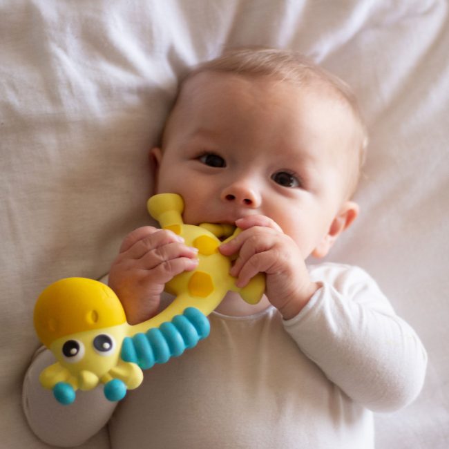 0186970-Squeak-and-Soothe-Natural-Teether-T2