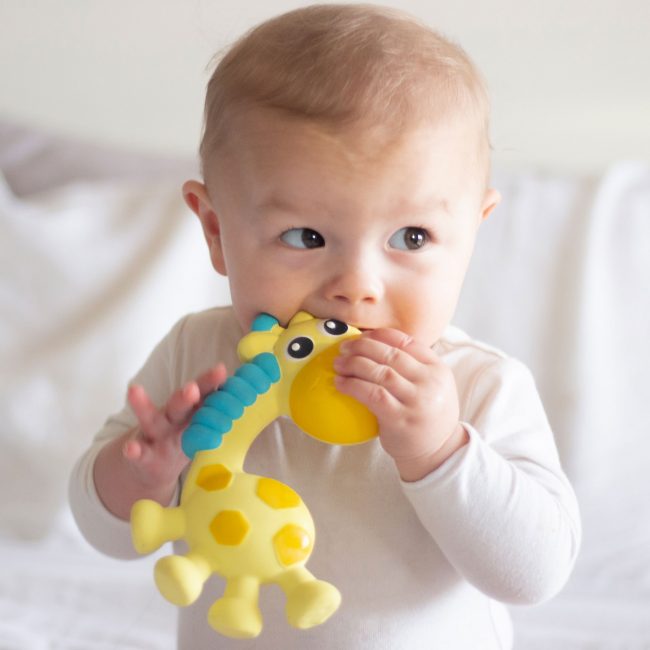 0186970-Squeak-and-Soothe-Natural-Teether-T4